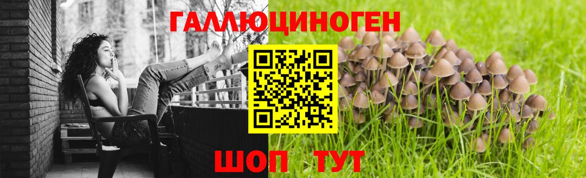 Псилоцибиновые грибы Psilocybe  Псилоцибиновые грибы Psilocybine cubensis  Муравленко  Вход с VPN 